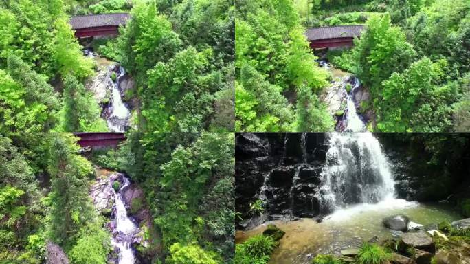 清澈溪流 山林小溪 山区风景