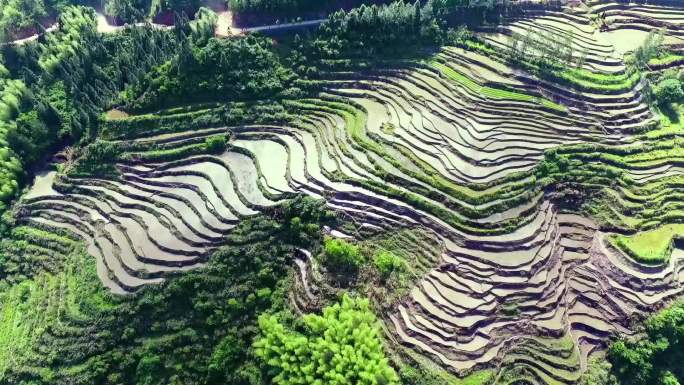 山区航拍 高山田园 山风景区