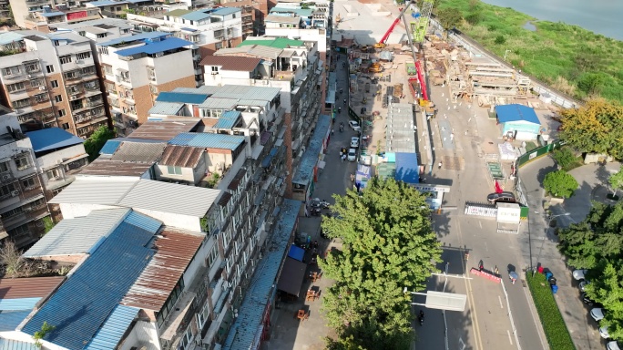 小区上空鸽子飞过建筑上方飞鸟飞来飞去