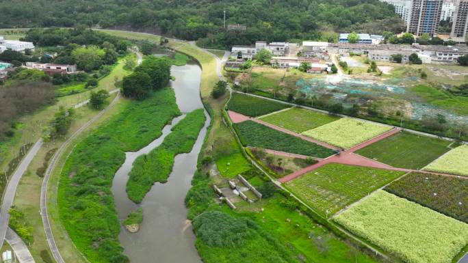 【正版合集素材】深圳坪山宣传片