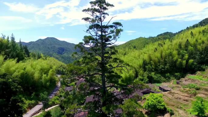 山村小镇  航拍乡村 山村风景