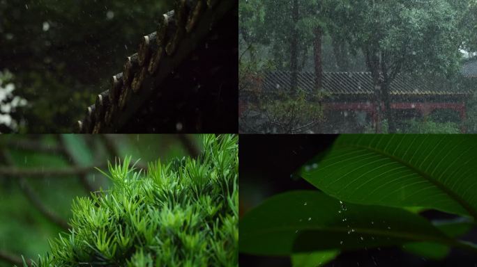 雨天 江南 屋檐 清明 屋脊 水乡 古镇