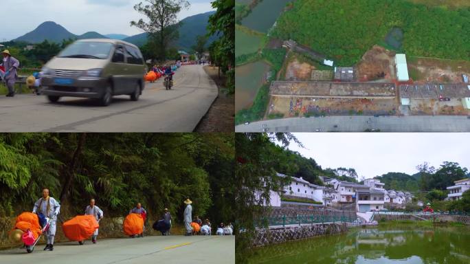 康养生活 美丽风景 村庄