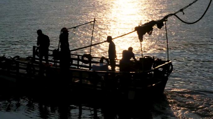 海鲜渔业 清晨 农业养殖业