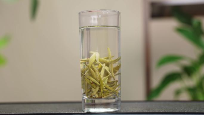 【原创】绿茶玻璃杯冲泡