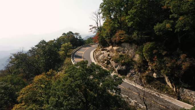 秋日山路的弯道