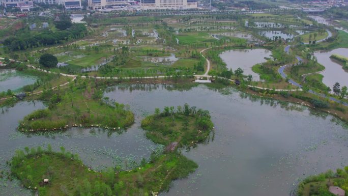 航拍厦门马銮湾双溪湿地公园