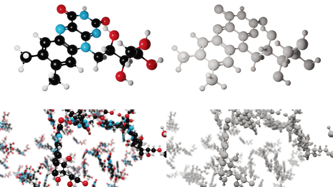 维生素B2分子动画