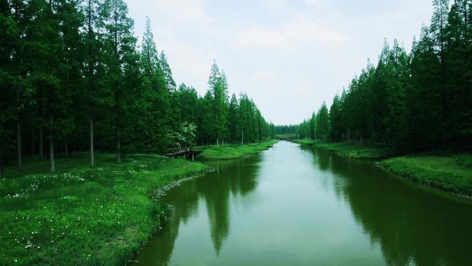 静静的小河固定镜头