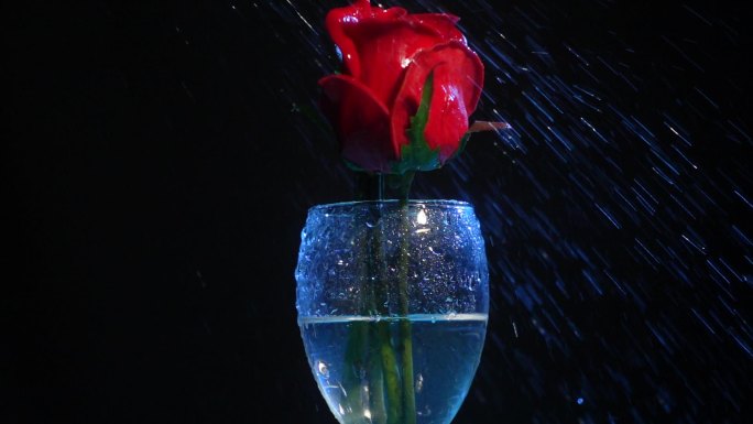 酒杯里的玫瑰花雨水冲击