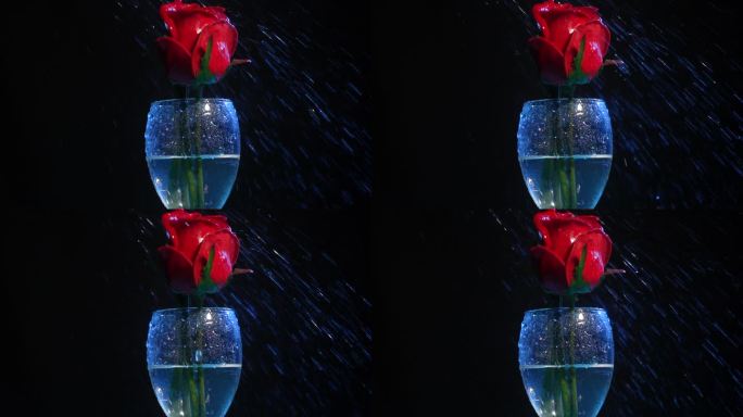 酒杯里的玫瑰花雨水冲击