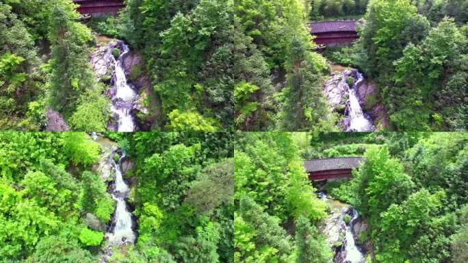 清澈溪流 山林小溪 山区风景