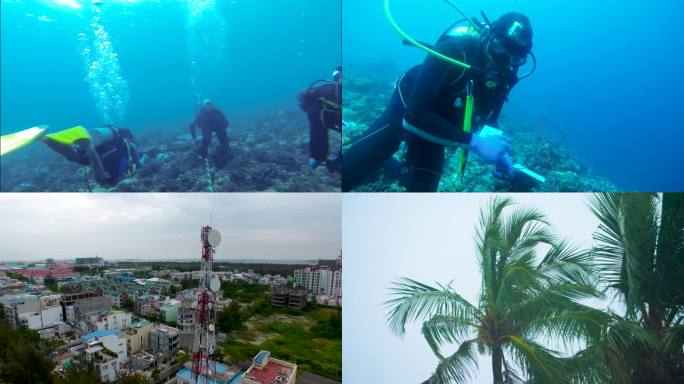 海边景色 沙滩游玩的人群 海鸥海浪海滩