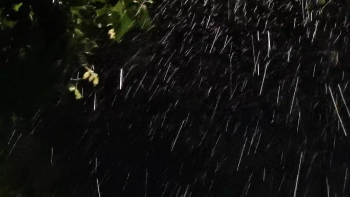 雨夜大雨夜雨绿叶雨夜风吹树叶摇摆雨滴雨声