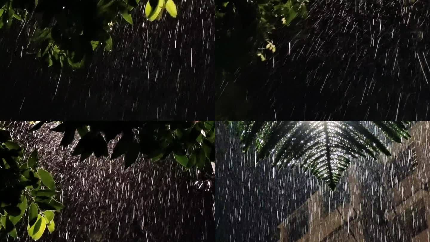 雨夜大雨夜雨绿叶雨夜风吹树叶摇摆雨滴雨声