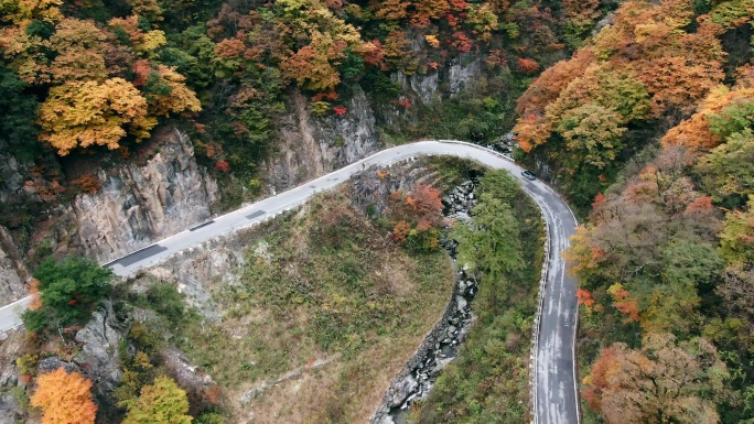 湖北神农架的秋天盘山路航拍