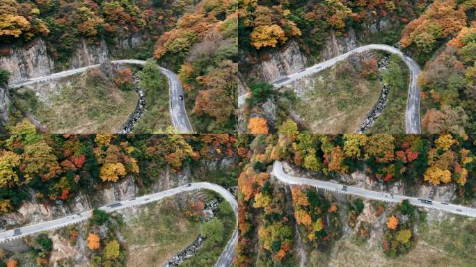 湖北神农架的秋天盘山路航拍