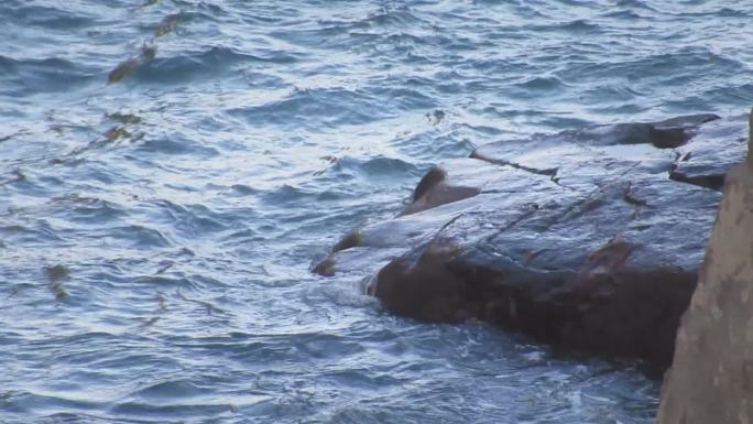 海边礁石石头海浪空镜