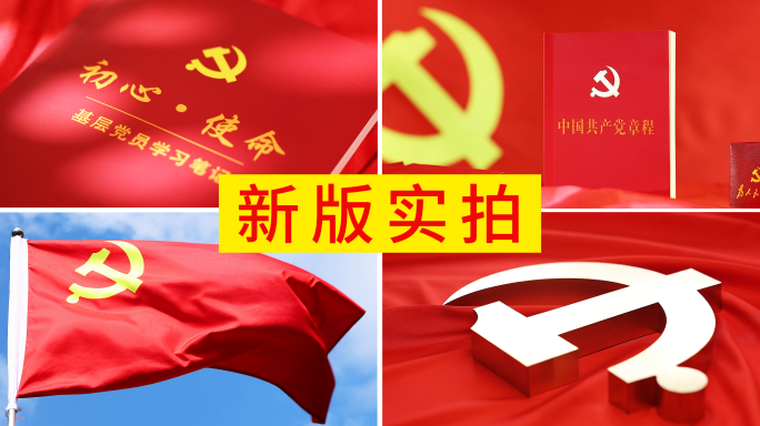 党旗旗帜党徽党建党政片头
