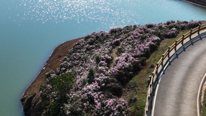 4K航拍乌蒙大草原沿湖公路