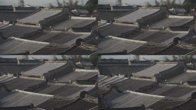 潮汕民居建筑群屋顶