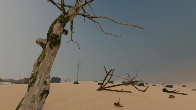 沙尘暴过后的干旱贫瘠沙漠