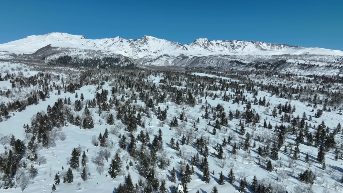 航拍吉林长白山天池景区雪山自然风光