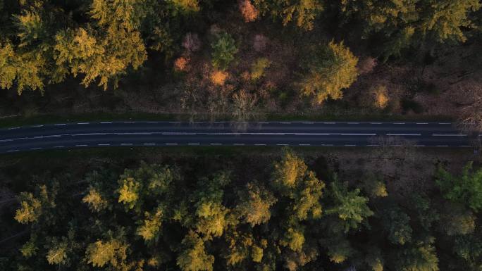 森林里的公路