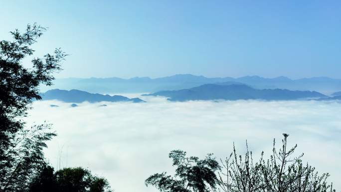 蜀南竹海竹林前景俯拍山峦云海