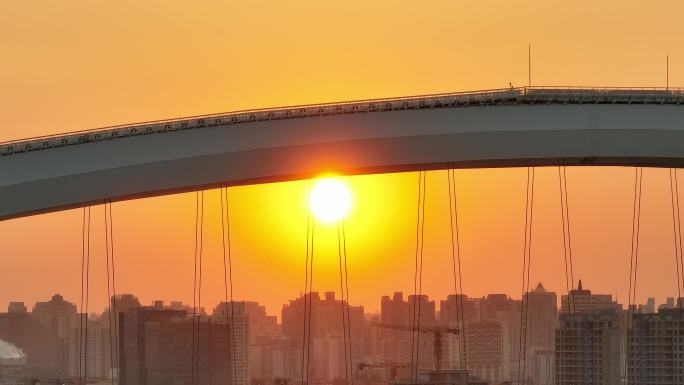 夕阳下卢浦大桥与车辆