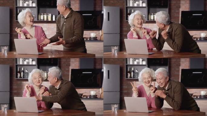 老年夫妇在家使用笔记本电脑