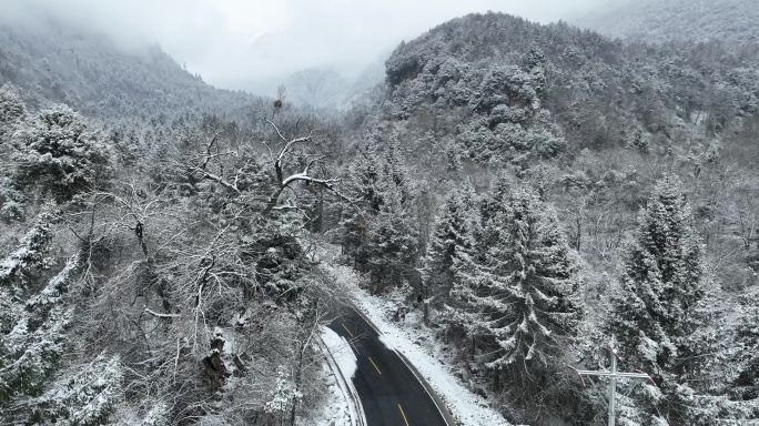 航拍雪地森林跟车4k素材