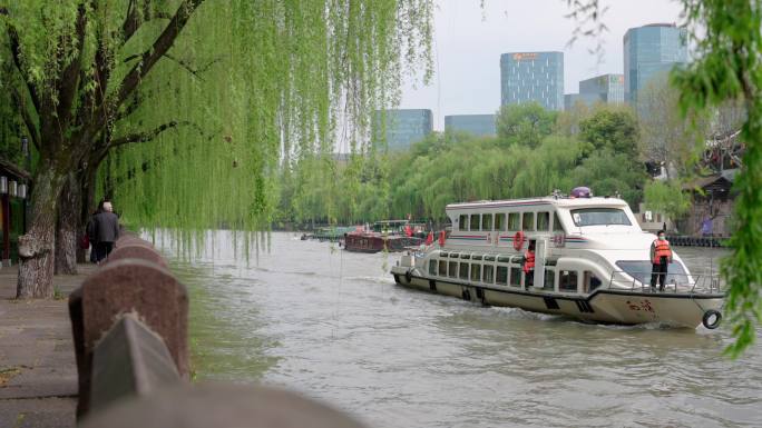 微风柳树 运河游船