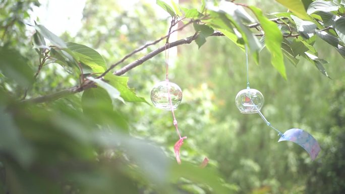 小清新风铃随风摆动 立夏 谷雨 夏日风铃