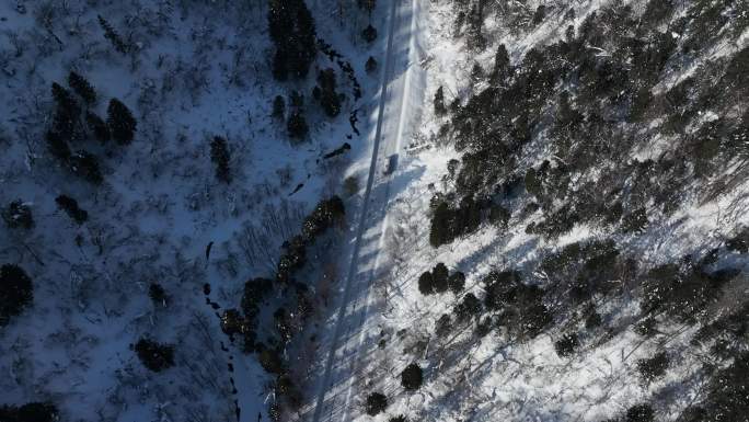 吉林长白山森林公路自驾游旅行航拍风光