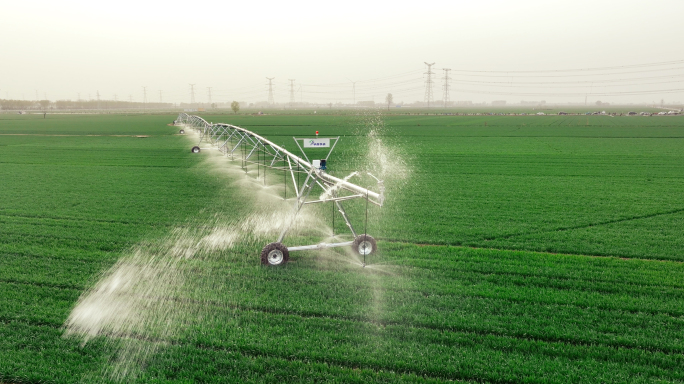 现代农业高标准农田机器人灌溉小麦生长