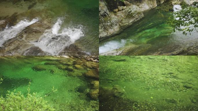 山泉小溪流水泉水流淌清澈见底纯净自然升格