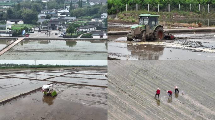 国家现代农业产业园永丰村