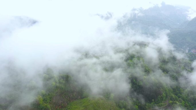 雾景生态自然大山森林航拍旅游素材