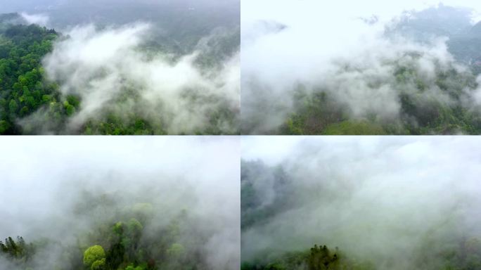雾景生态自然大山森林航拍旅游素材