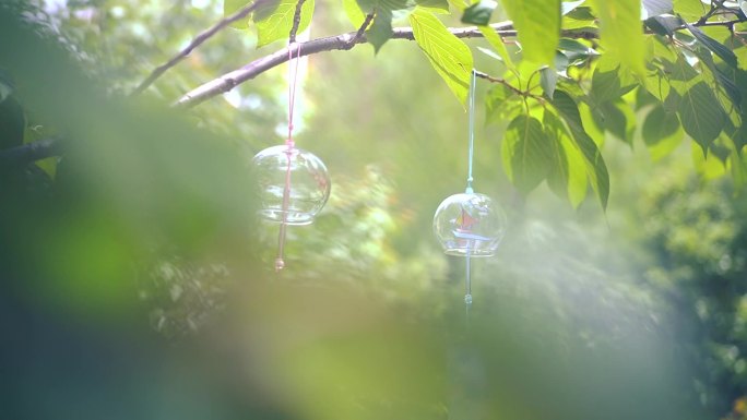 小清新风铃随风摆动 立夏 谷雨 夏日风铃