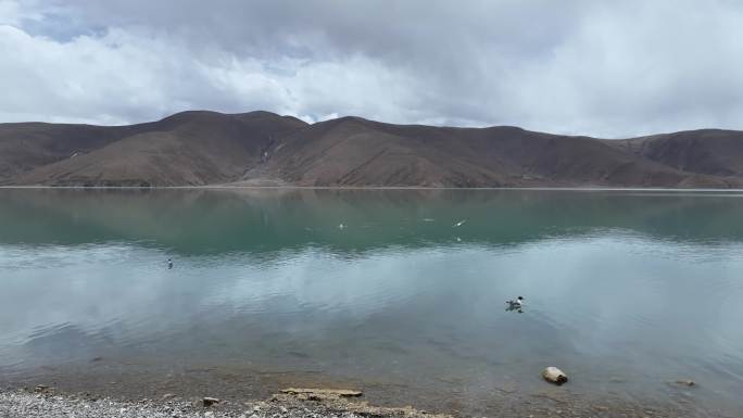 西藏日喀则浪错航拍