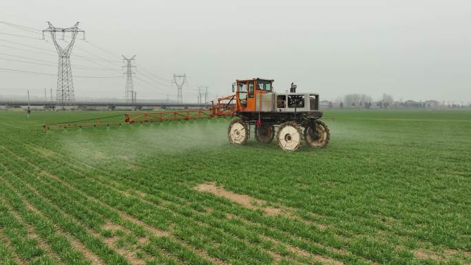 小麦 打农药 病虫害 机械设备