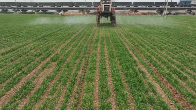 小麦 打农药 病虫害 机械设备
