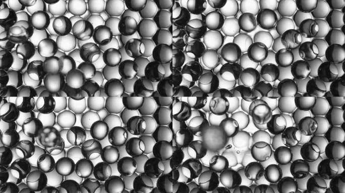 海洋宝宝水宝宝慢动作掉落