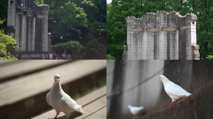 南京音乐台