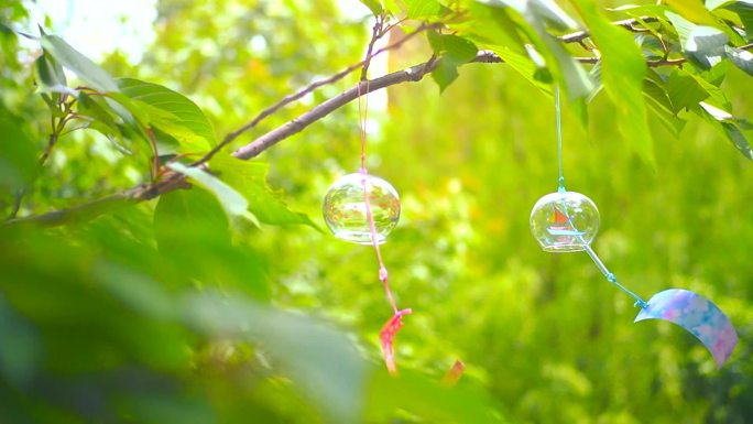 小清新风铃随风摆动 立夏 谷雨 夏日风铃