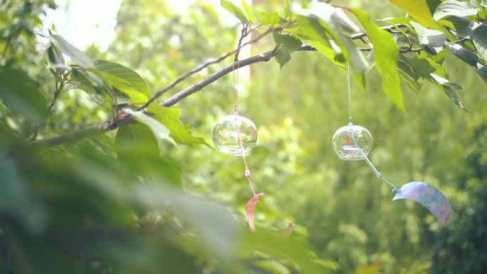 小清新风铃随风摆动 立夏 谷雨 夏日风铃