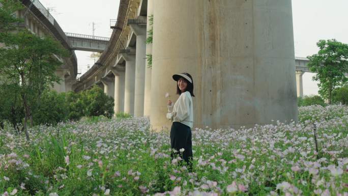 女生在粉花月见草花海里游玩旅行遇见火车等