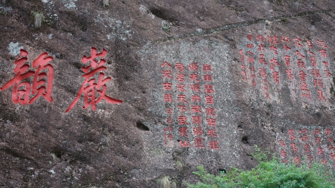 武夷山大红袍茶树母树